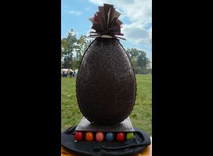 Chasse à l'oeuf