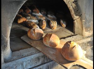 Fête du Pain et des Céréales