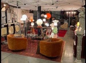 PUCES DE PRINTEMPS - FOIRE ANTIQUITÉ ET BROCANTE