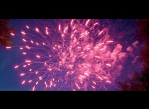 Fête Nationale - Le Mans