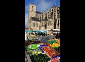 MARCHÉ DES JACOBINS - LE MANS