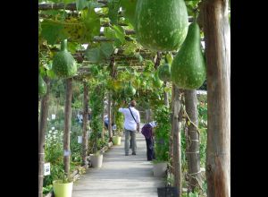 FETE DU JARDIN ET DE LA FERME