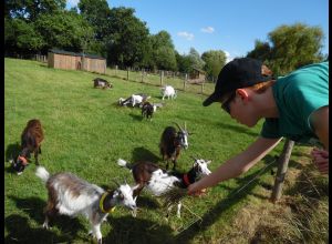 BALADE de la ferme en patois