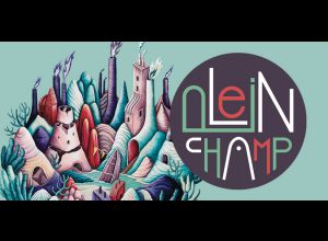 LE FESTIVAL D’ARTS URBAINS – PLEIN CHAMP