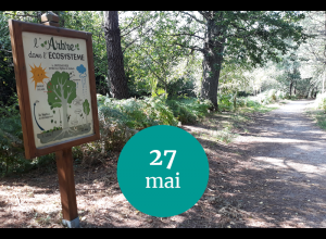 RANDO’CLIM À RUAUDIN