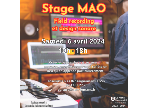 Stage MAO - Field Recording et Design Sonore