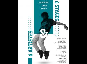 6 artistes & 6 stages : Danse & Idole