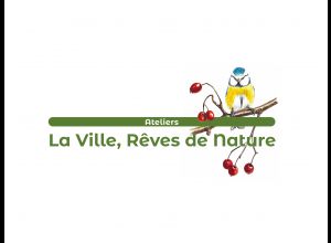 Les aromatiques au jardin