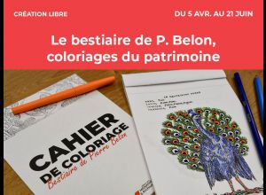 Le bestiaire de Pierre Belon, coloriages du patrimoine