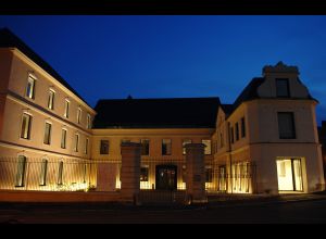 Nuit des musées au musée d'archéologie et sciences naturelles