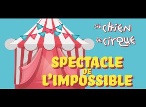 Spectacle de l'impossible