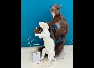 Rendez-vous science : la taxidermie, c'est trippant