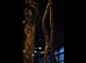 Exposition 