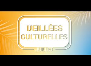 Veillées arts de la rue.