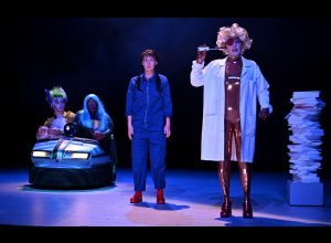 Peau d'âne - La fête est finie