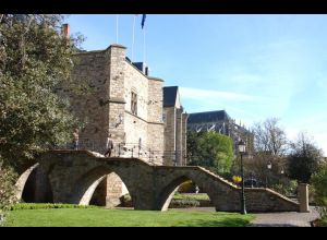 Visite Flash : La Cité Plantagenêt