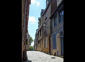 Visite Flash : Découverte olfactive dans la Cité Plantagenêt