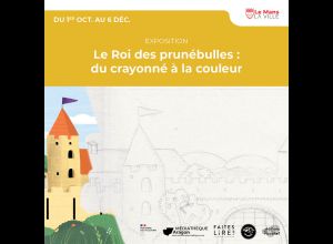 Le Roi des prunébulles : du crayonné à la couleur