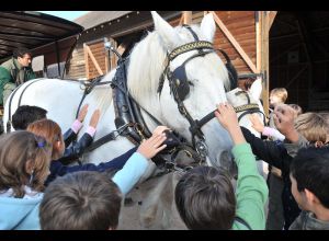 L’Arche de la Nature aux pas des percherons