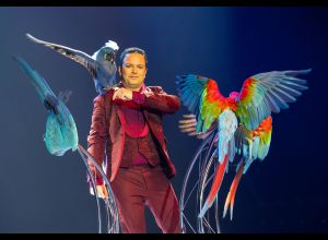 Spectacle de Noël 2025 - L'ASN fête ses 40 ans