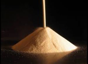 Grains de bâtisseurs - Conférence expérimentale