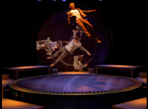 Spectacle | LOOPS | Cie Kiaï