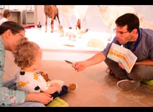 Baby hour : mes 1ers pas au musée d'archéologie