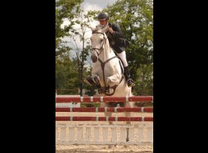 PÔLE EUROPÉEN DU CHEVAL - CONCOURS DE NOËL