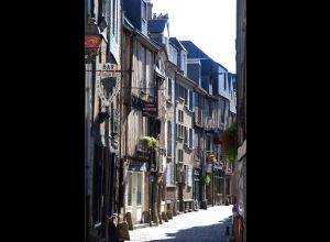 La cité Plantagenêt