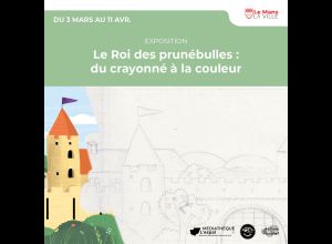 Le Roi des prunébulles : du crayonné à la couleur