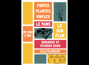 Grande vente de fripes, plantes et vinyles