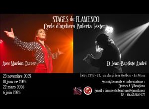 Stage Danse Flamenco Buleria