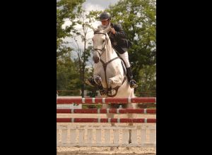 Pôle européen du cheval