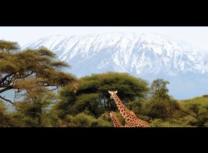 Objectif Kilimandjaro