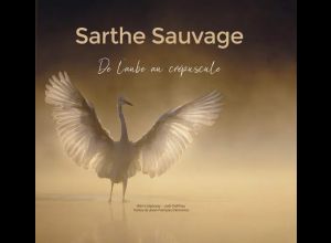 Sarthe Sauvage, de l'aube au crépuscule