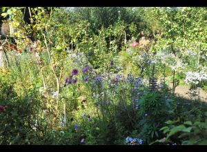 Visite-atelier : Jardinez la ville !