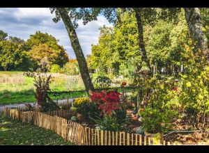 Renaturaliser une zone horticole