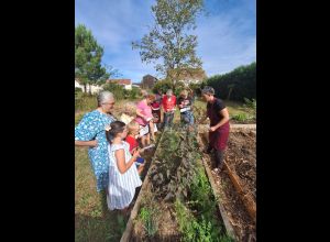 Rando-vélo à la découverte des jardins partagés des quartiers sud