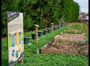 Visite du Pollinarium