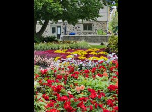 Plantation d’un massif fleuri