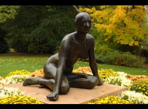 Le jardin des plantes