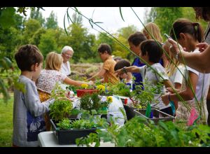 Jeune public : Visite sensorielle du jardin pour les tout petits (3-6 ans)