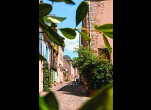 La Cité Plantagenêt