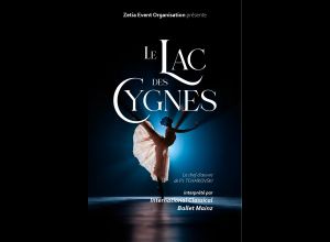 Le Lac des Cygnes