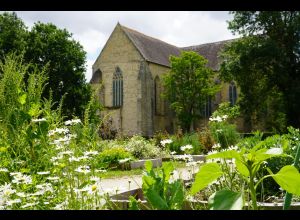 Atelier jardin : la permaculture et la biodiversité