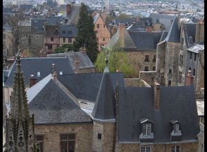 Visite Flash - La Cité Plantagenêt