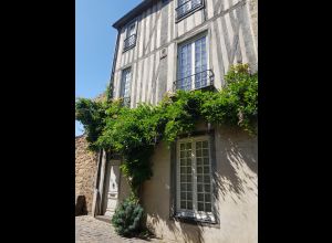 AUTOUR DU BOULEVARD NATURE : LE MANS CITÉ PLANTAGENÊT, AU FIL DES ENCEINTES