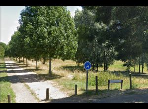 AUTOUR DU BOULEVARD NATURE : DE ROBIN DES BOIS AU PARC DE LA CIGOGNE