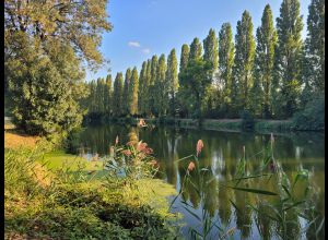 AUTOUR DU BOULEVARD NATURE : PORT DU MANS - ARNAGE, EN LONGEANT LA SARTHE, RIVE DROITE