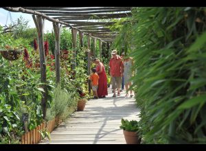 AUTOUR DU BOULEVARD NATURE : L'ARCHE DE LA NATURE, RANDONNÉE POUR TOUS PAR LA MAISON DE LA PRAIRIE